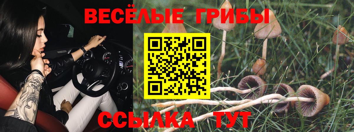 Псилоцибиновые грибы Cubensis  Галлюциногенные грибы ЛСД  Мелеуз  Вход с VPN 